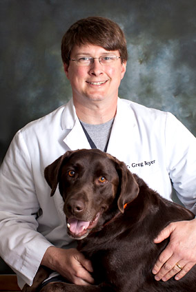 jeff city, mo veterinary hospital