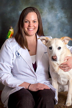jeff city, mo veterinary hospital